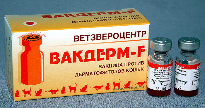 Вакдерм для кошек