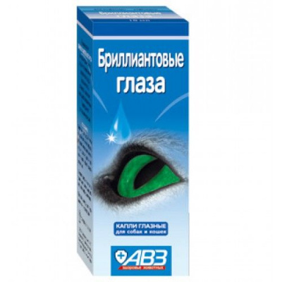 Течет глаз у кошки
