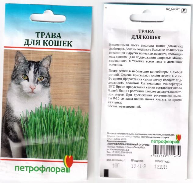 Трава для кошек